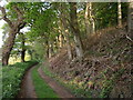 Footpath to Eastcott Beacon