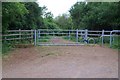 Gate and footpath