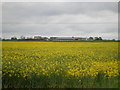 Hardstones Farm from Mill Lane