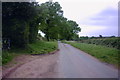 Country Lane by Bishops Wood