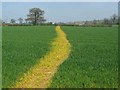 Footpath Near Ashmore Brook