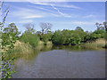 Fishing pool near Manley Old Hall