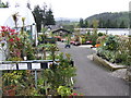 Duchy Of Cornwall Nurseries