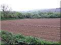 Potato field near South Park