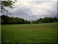 View over field towards Elmer Ridding and The Slum