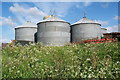 Farm silos, Bourton