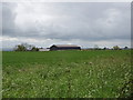 Hartwell Hill Farm seen across wheat field