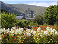 C0220 : Glenveagh Castle gardens by Chris Gunns