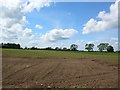 Field near Poppleton