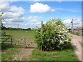 Gate at Woodhouse Farm