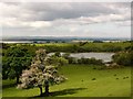 Barlockhart Loch