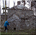 Rear of Moelogen Lodge, Carmel