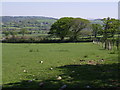 Field near Broadtown