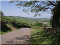 Lane to Forda from Liddaton Down