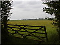 View of water meadow through old field gate