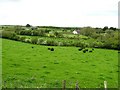 Ballinamullin Townland