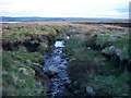SO1714 : Moorland stream by Alan Bowring