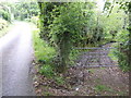 Farm track off Kirley Road