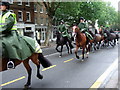 Horses in Hampstead