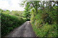 SX1657 : Cornish lane by Kate Jewell