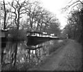 Houseboats at Woodham on the Basingstoke Canal