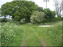 TF8427 : Junction of Broad Lane with track from Broomsthorpe through to Rudham Grange by Nigel Jones