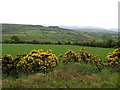 Mulderg Townland