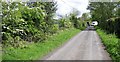 Road at Kinculbrack