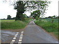 Looking Down Holly Lane to Holly Barn