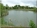 Lake at Astwick