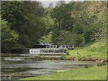 SK2066 : Weirs in Lathkill Dale below Over Haddon by Jerry Evans