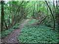 Lustleigh: Dismantled railway line