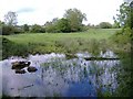 Chelworth Lower Green, from the moat