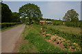 Country road near Greenaway