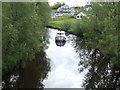 Boat on the Woodford River