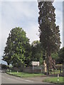 Trees at Aynho Park Lodge