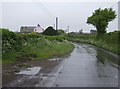 Lane north of Cattistock