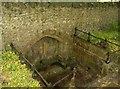 Sunken Spring in Cattistock Churchyard