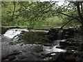 SK1865 : Weir in Lathkill Dale by Jerry Evans