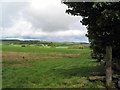 View north-west from Offa