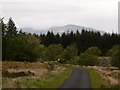 Near Carseriggan Kennels - looking to the Minnigaff Hills