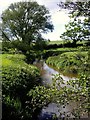 River Weaver running alongside South Cheshire Way