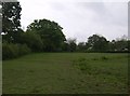 Grazing land near Yetminster