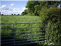 Footpath taken from the lane to Coole Hall Farm