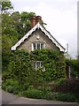 Hairy house at Drive End, Melbury Osmond