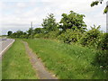 Main road with grass verge and hedge, outside Winslow