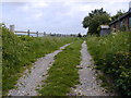 Footpath going north from Barnham windmill