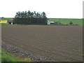 NK0256 : Potato field at Strathstodley by Ken Fitlike