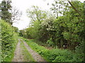 SP8026 : Bridleway with hedges by David Hawgood