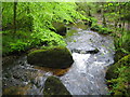 Dartmoor: Becka Brook